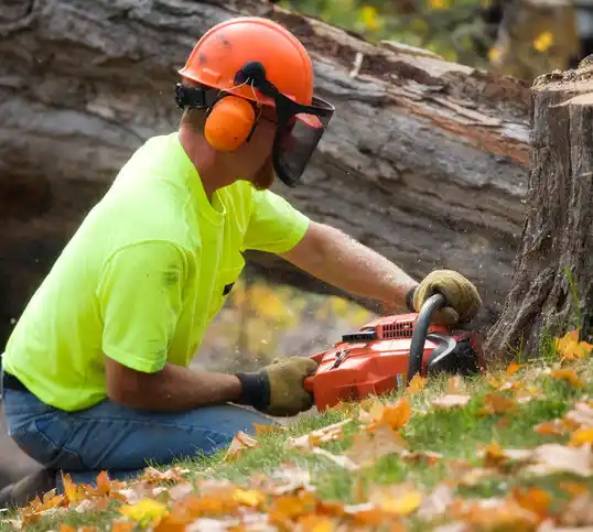 tree services Newman Grove